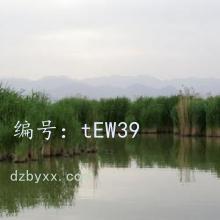 ḻ